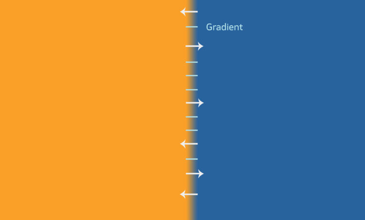 10_gradient_03